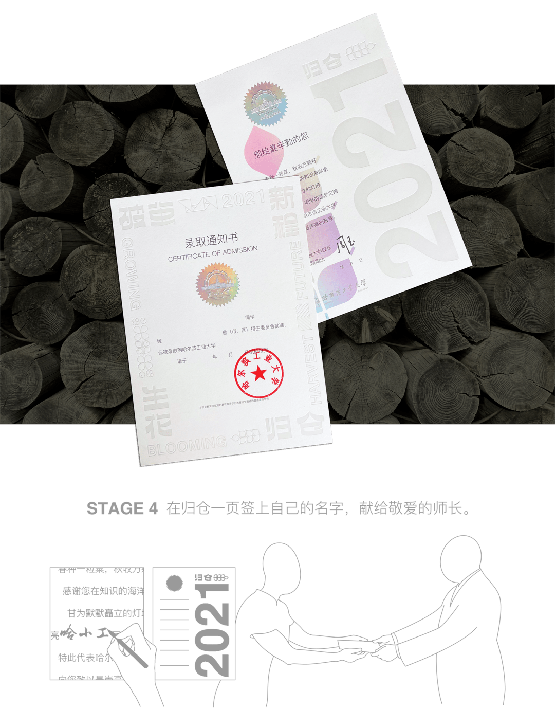 小巷印章探秘，最新章節(jié)揭秘官方印章的魅力