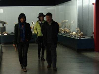 李元潮最新動態(tài)揭秘，小巷深處的獨特風味探秘之旅
